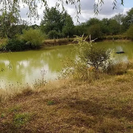 Гостевой дом Petit Paradis