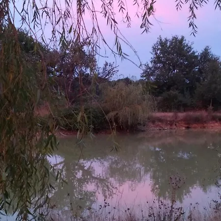 Petit Paradis Гостевой дом